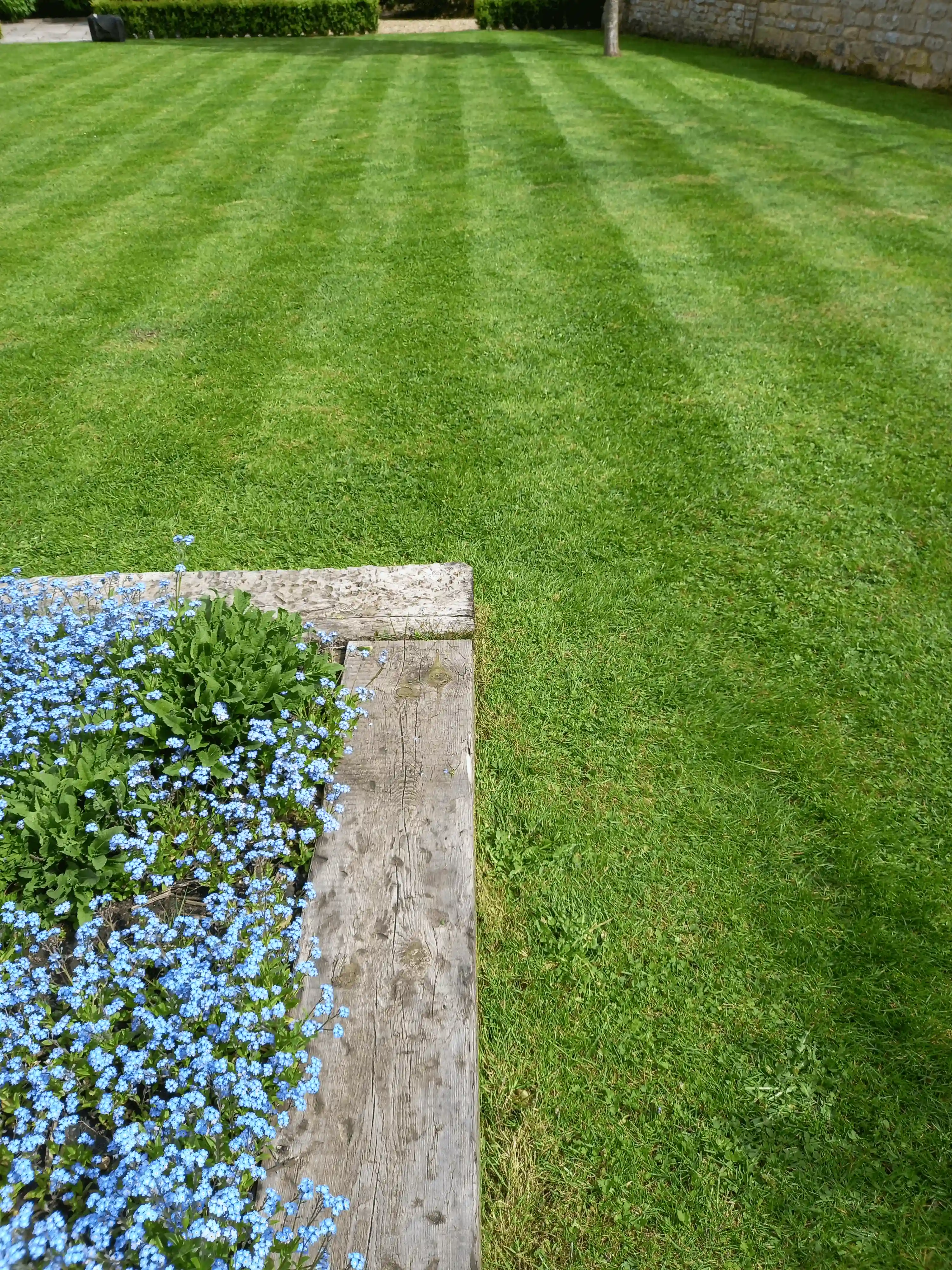 Lawn care by BCA Gardening Service in Northborough